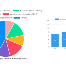 ecuador-wireline-logging-services-market-2025-2033-market-analysis-trends-dynamics-and-growth-opportunities