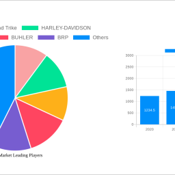 trike-market-strategic-insights-analysis-2025-and-forecasts-2033