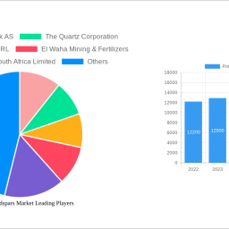 potassium-feldspars-market-unlocking-growth-potential-analysis-and-forecasts-2025-2033