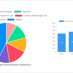 global-transcranial-doppler-ultrasound-market-2025-trends-and-forecasts-2033-analyzing-growth-opportunities