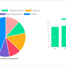 us-lingerie-market-2025-2033-overview-trends-competitor-dynamics-and-opportunities