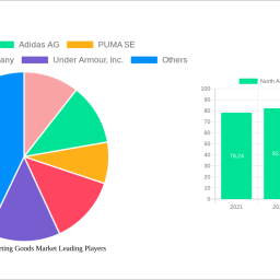 north-america-sporting-goods-market-unlocking-growth-opportunities-analysis-and-forecast-2025-2033