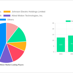 brushless-dc-motor-market-strategic-roadmap-analysis-and-forecasts-2025-2033