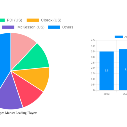 alcohol-wipes-market-strategic-insights-analysis-2025-and-forecasts-2033