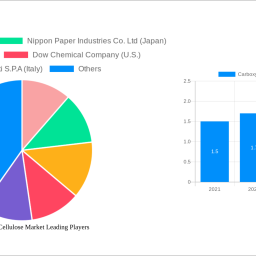 carboxymethyl-cellulose-market-2025-trends-and-forecasts-2033-analyzing-growth-opportunities
