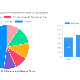 middle-east-and-africa-athletic-footwear-market-2025-2033-analysis-trends-competitor-dynamics-and-growth-opportunities