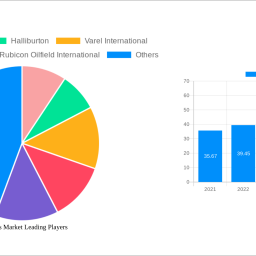drill-bits-market-decade-long-trends-analysis-and-forecast-2025-2033