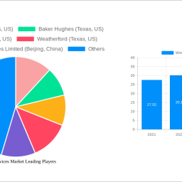 wireline-services-market-strategic-insights-analysis-2025-and-forecasts-2033