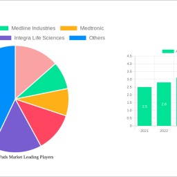 abdominal-pads-market-analysis-report-2025-market-to-grow-by-a-cagr-of-61-to-2033-driven-by-government-incentives-popularity