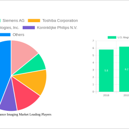 us-magnetic-resonance-imaging-market-unlocking-growth-potential-analysis-and-forecasts-2025-2033