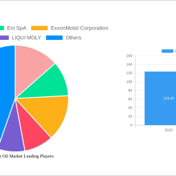 italian-motor-oil-market-to-grow-at-162-cagr-market-size-analysis-and-forecasts-2025-2033