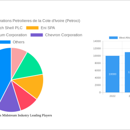 west-africa-oil-gas-midstream-industry-strategic-market-roadmap-analysis-and-forecasts-2025-2033