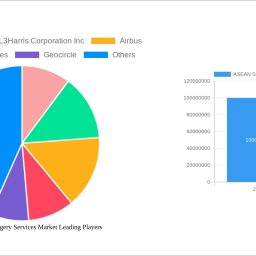asean-satellite-imagery-services-market-2025-to-grow-at-1463-cagr-with-xx-million-market-size-analysis-and-forecasts-2033