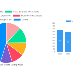vaginal-speculum-industry-insightful-analysis-trends-competitor-dynamics-and-opportunities-2025-2033
