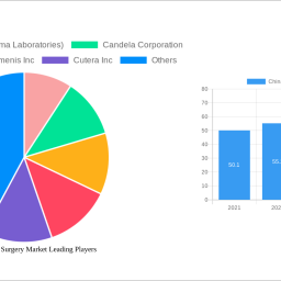 china-cosmetic-surgery-market-insightful-market-analysis-trends-and-opportunities-2025-2033