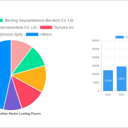 chondroitin-sulfate-market-analysis-2025-and-forecasts-2033-unveiling-growth-opportunities