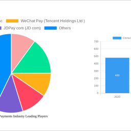 china-real-time-payments-industry-2025-2033-overview-trends-competitor-dynamics-and-opportunities