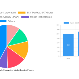 japan-satellite-based-earth-observation-market-insightful-analysis-trends-competitor-dynamics-and-opportunities-2025-2033