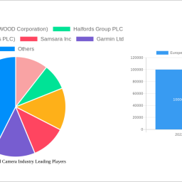 europe-dashboard-camera-industry-2025-2033-analysis-trends-competitor-dynamics-and-growth-opportunities