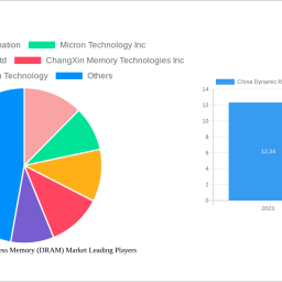 china-dynamic-random-access-memory-dram-market-decade-long-trends-analysis-and-forecast-2025-2033