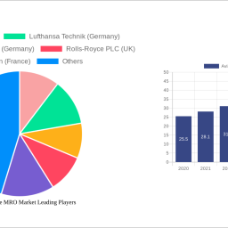 aviation-engine-mro-market-growth-opportunities-and-market-forecast-2025-2033-a-strategic-analysis
