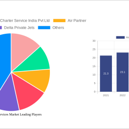 air-charter-services-market-insightful-market-analysis-trends-and-opportunities-2025-2033