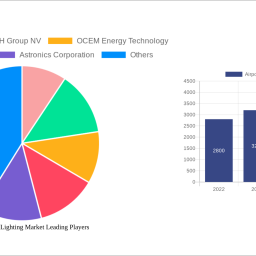 airport-runway-lighting-market-strategic-market-roadmap-analysis-and-forecasts-2025-2033