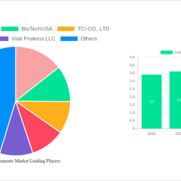 collagen-supplements-market-2025-2033-analysis-trends-competitor-dynamics-and-growth-opportunities