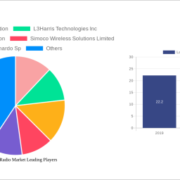 land-mobile-radio-market-insightful-analysis-trends-competitor-dynamics-and-opportunities-2025-2033
