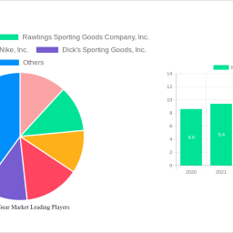 basketball-gear-market-strategic-insights-analysis-2025-and-forecasts-2033