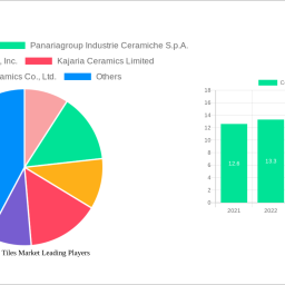 ceramic-wall-tiles-market-future-proof-strategies-trends-competitor-dynamics-and-opportunities-2025-2033