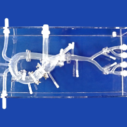 china-customized-wholesale-aortic-valve-model-manufacturers-suppliers-low-price-trandomed