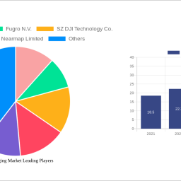 aerial-imaging-market-analysis-report-2025-market-to-grow-by-a-cagr-of-980-to-2033-driven-by-government-incentives-popularit