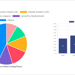 drone-services-market-20-cagr-growth-outlook-2025-2033