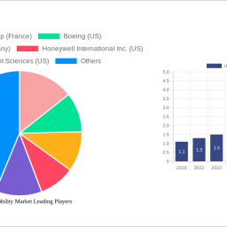 urban-air-mobility-market-strategic-insights-for-2025-and-forecasts-to-2033-market-trends