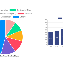 heavy-duty-tire-market-charting-growth-trajectories-analysis-and-forecasts-2025-2033